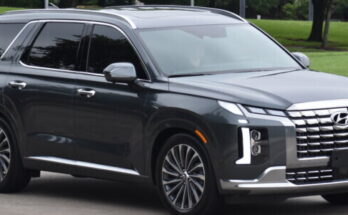 Hyundai Palisade Braking Lawsuit